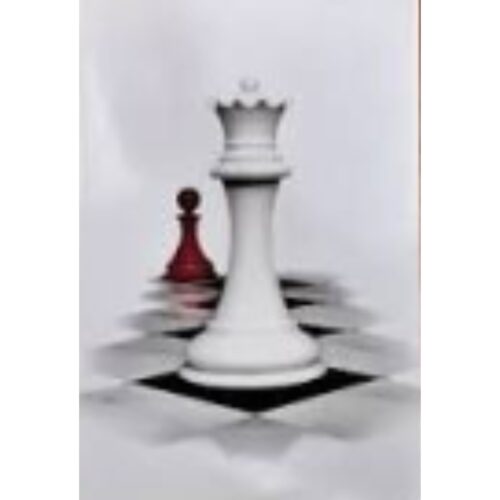 Livro - Amanhecer -  Capa Branca - Stephenie Meyer (Usado)