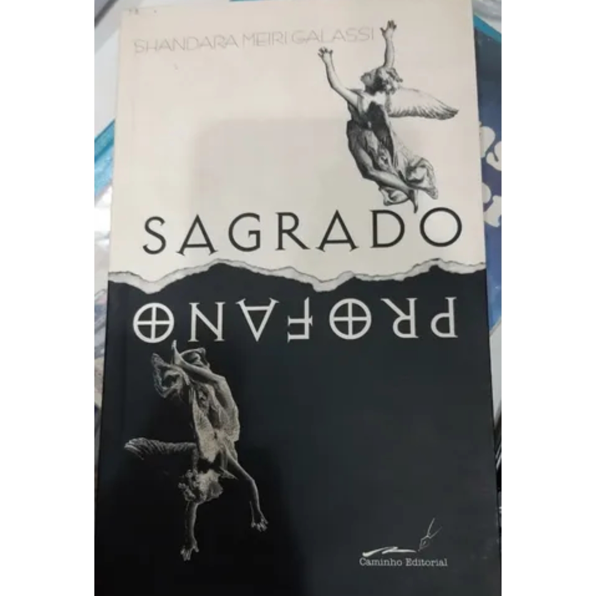 Livro - Sagrado Profano - Shandara Meiri Galassi (USado) - Imagem 2