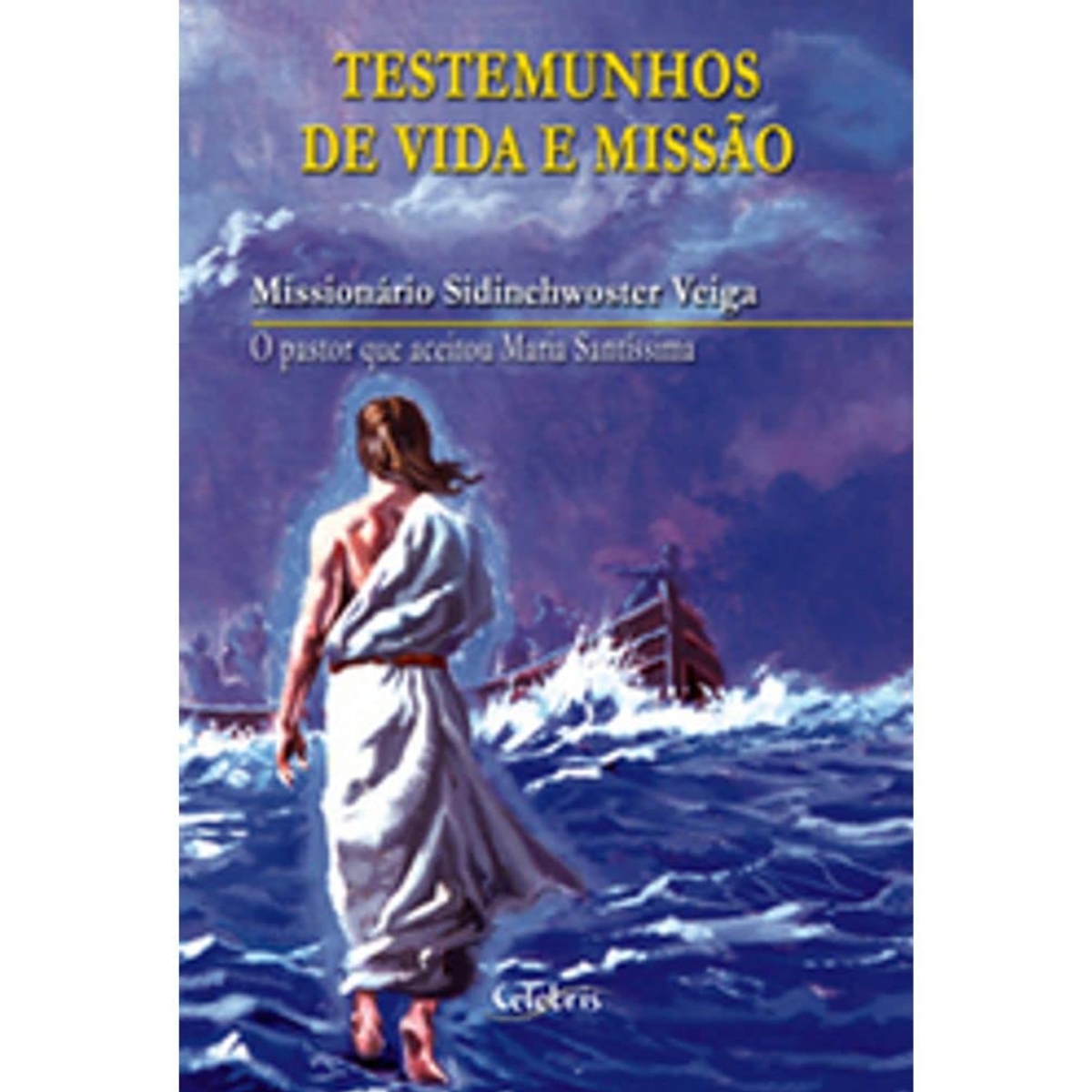 Livro - Testemunhos de vida e Missão - Sidinehwoster Veiga (Usado) - Imagem 3