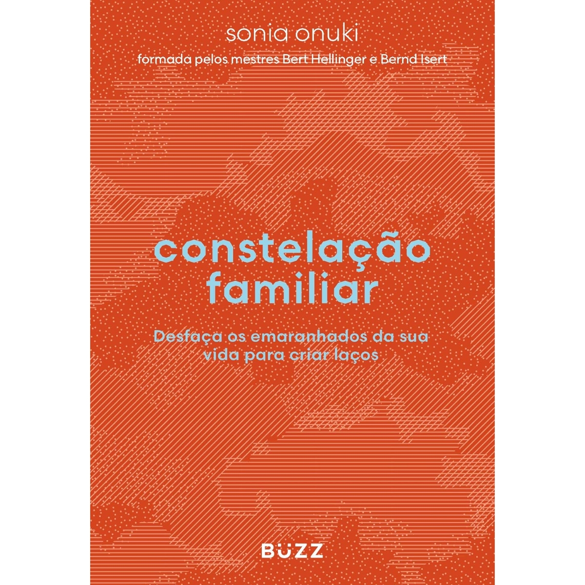 Livro - Constelação Familiar - Sonia Onuki (Usado)