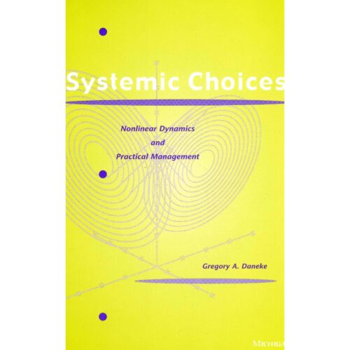 Livro - Systemic Choices - Gregory A. Daneke (Usado) Inglês