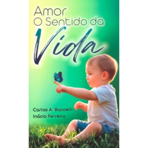 Livro - Amor O sentido da vida - Carlos A. Boccelli (Usado)