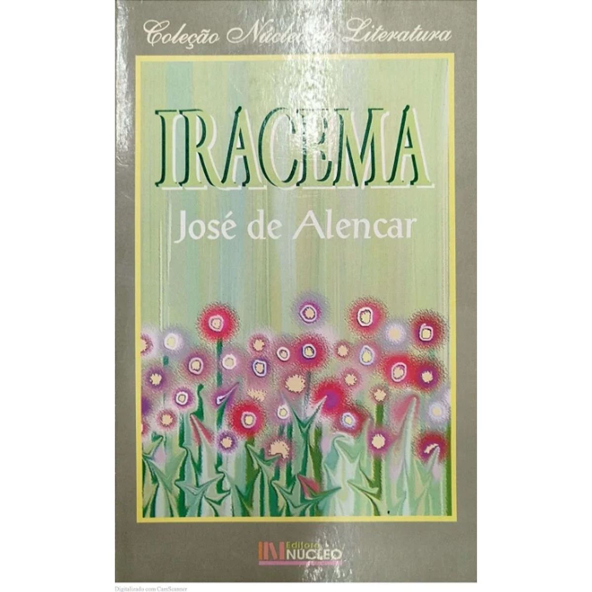 Livro - Iracema - José de Alencar (Usado) - Imagem 2