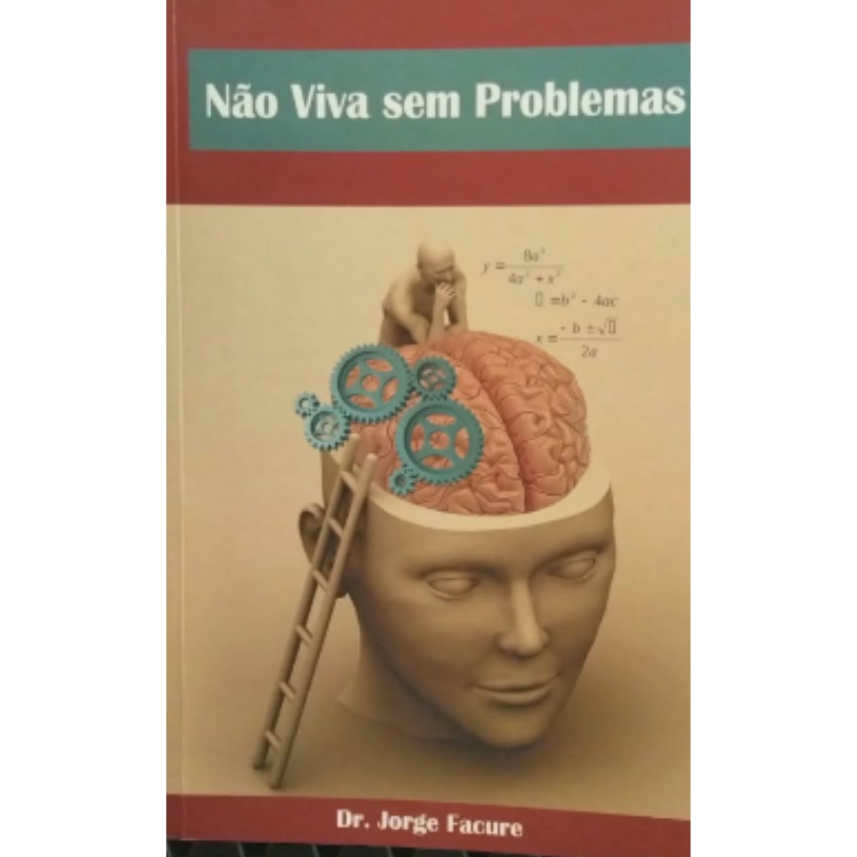 Livro - Não viva sem problemas - Jorge Facure (Usado) - Imagem 3