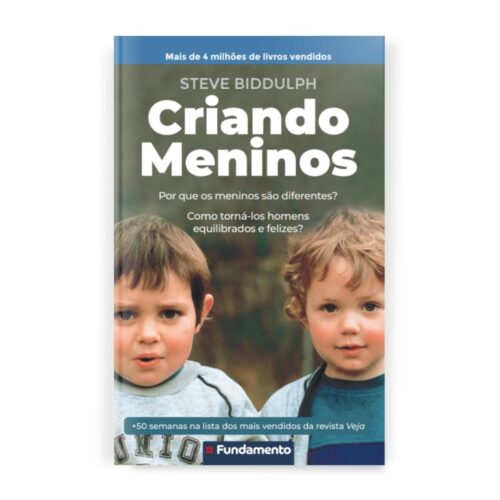 Livro - Criando Meninos - Steve Biddulhp (Usado)