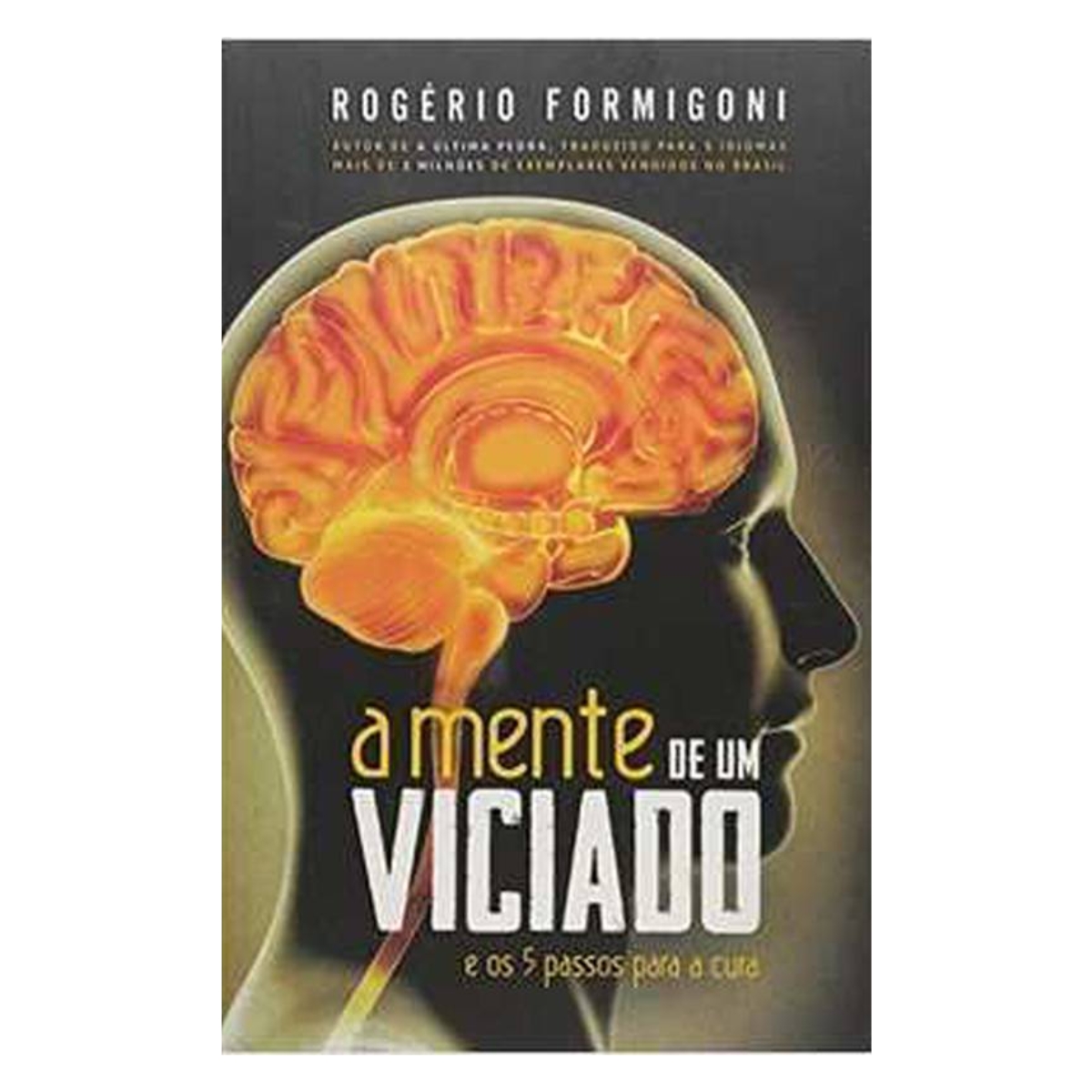 Livro - A mente de um viciado - Rogério Formigoni (Usado) - Imagem 4
