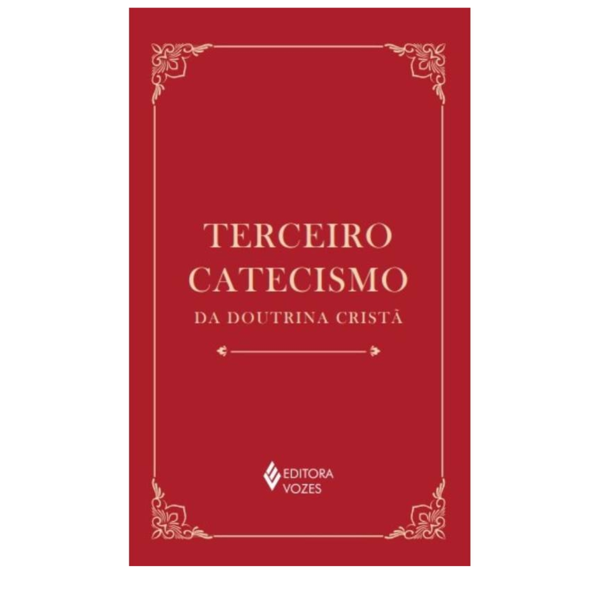 Livro - Terceiro Catecismo da doutrina Cristã - Ed. Vozes (Usado)