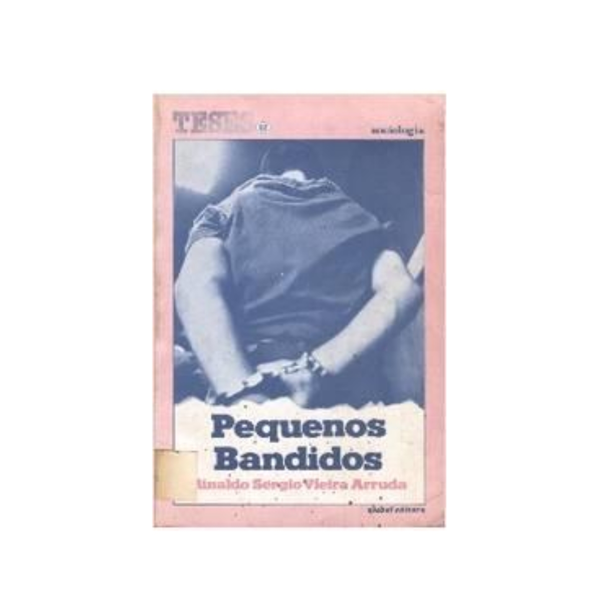 Livro - Pequenos Bandidos - Rinaldo Sérgio Vieira Arruda (Usado) - Imagem 2