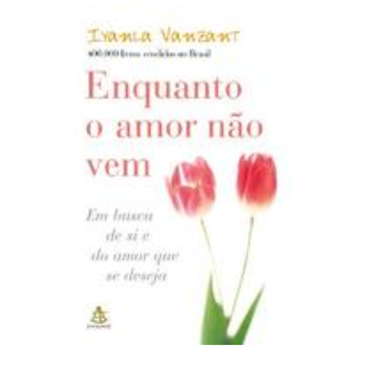 Livro - Enquanto o amor não vem - Yyanla Vanzant (Usado) - Imagem 3