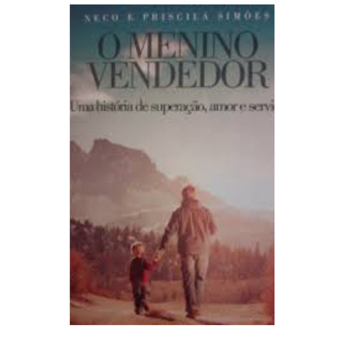 Livro - O menino vendedor - Neco e Priscila Simões (Usado)