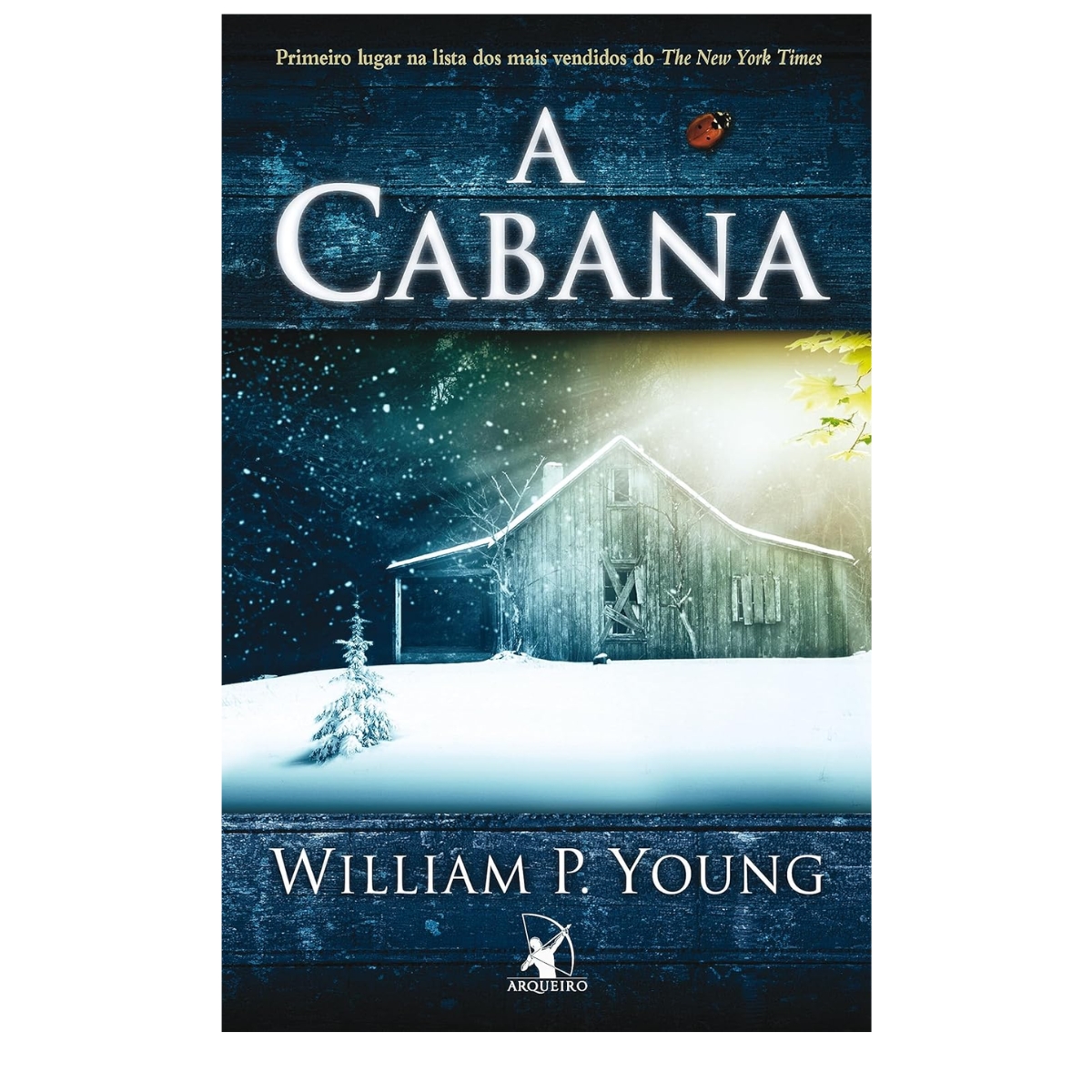 Livro - A cabana - William P. Young (Usado) - Imagem 5