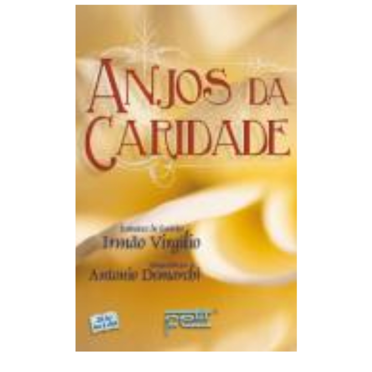 Livro - Anjos Da Caridade - Antonio Demanrchi (Usado) - Imagem 3