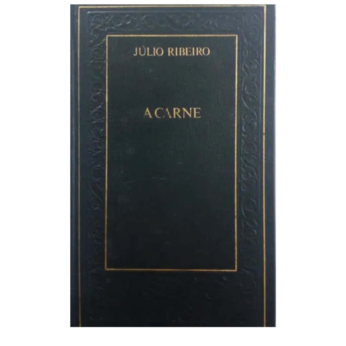 Livro - A Carne - Júlio Ribeiro (Usado) - Imagem 2