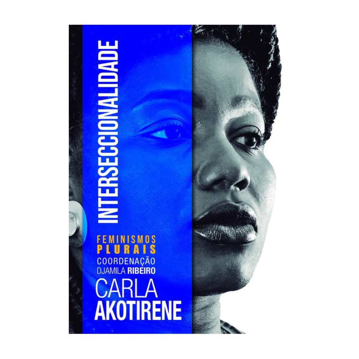 Livro - Interseccionalidade - Carla Akotirene (Usado) Pocket - Imagem 2