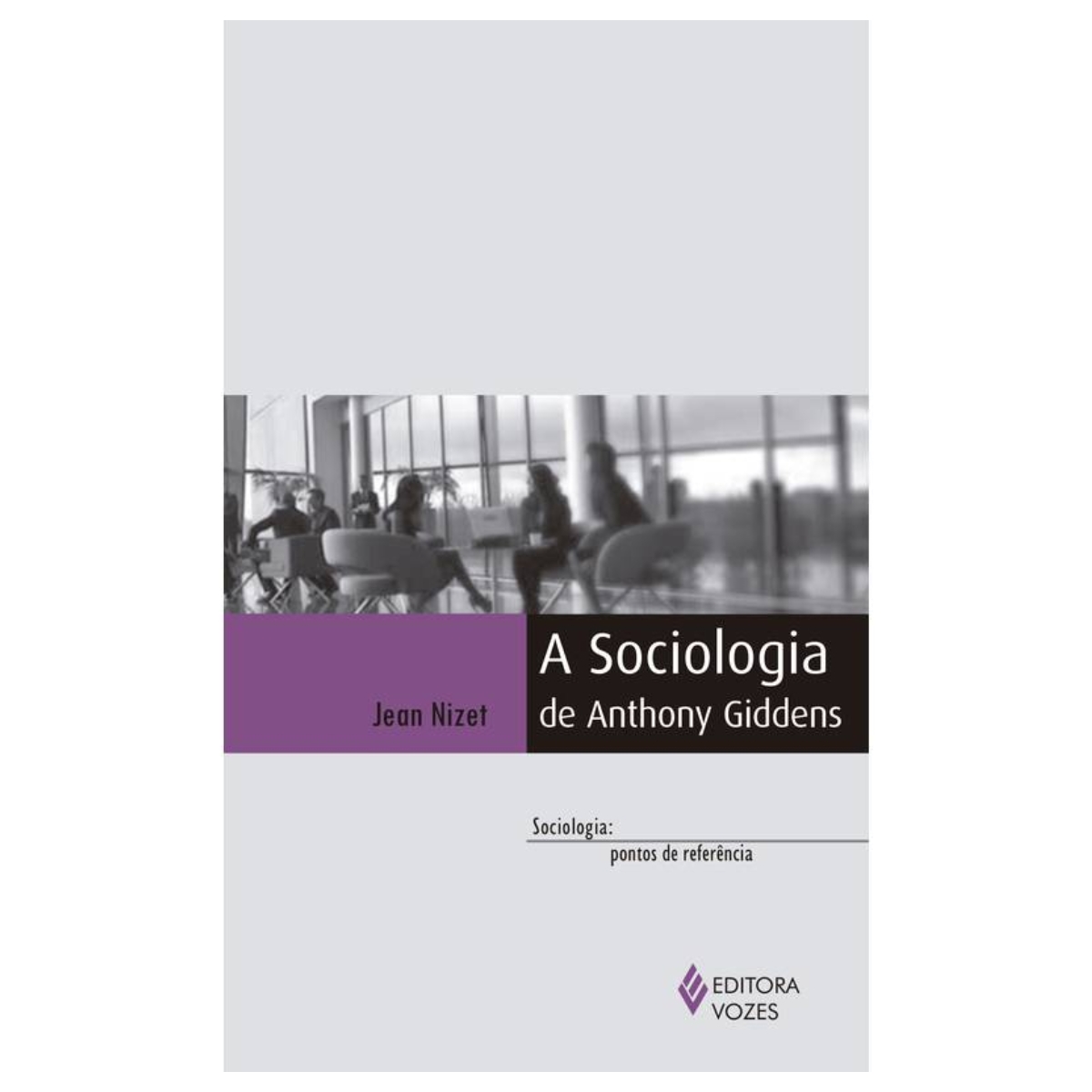 Livro - A Sociologia de Anthony Giddens - Jean Nizet (Usado) - Imagem 2