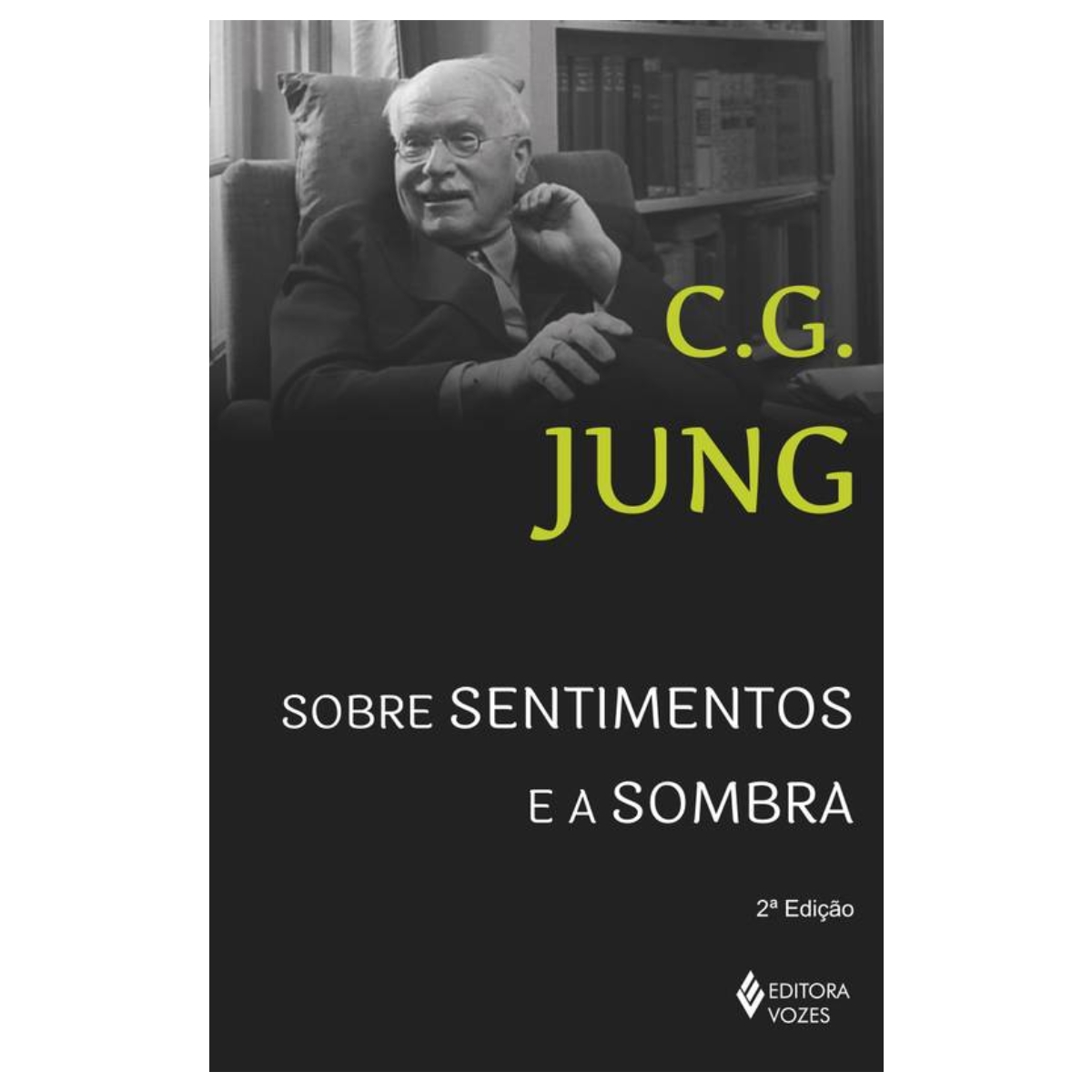 Livro - Sobre sentimentos e a sombra - C. G. Jung (Usado) - Imagem 2