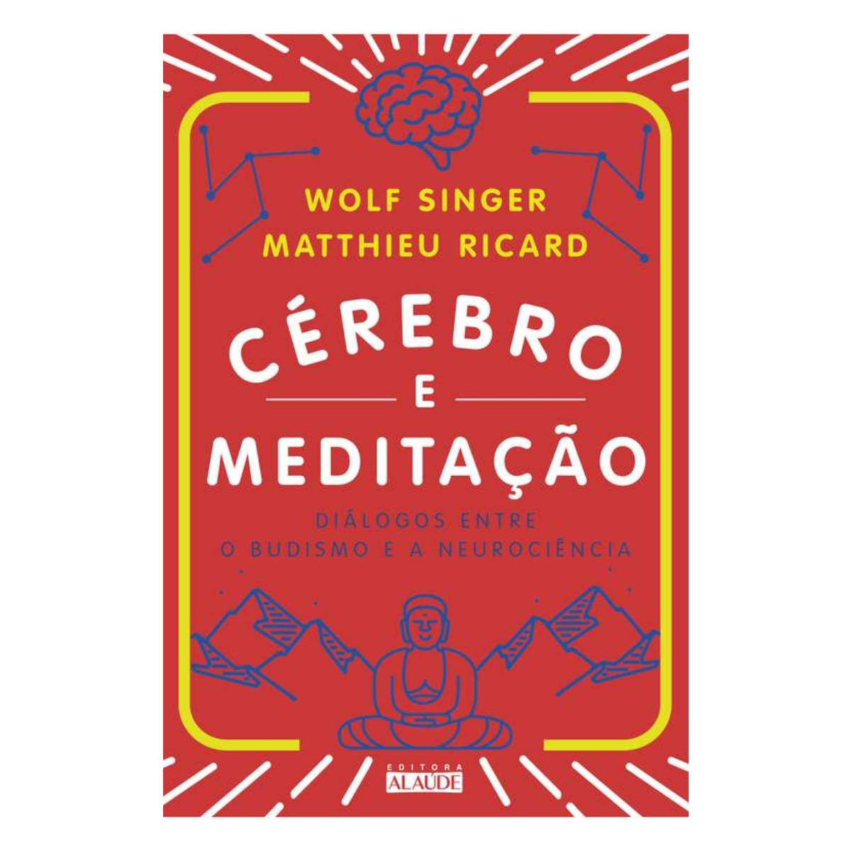 Livro - Cérebro e Meditação - Wolf Singer (Usado)