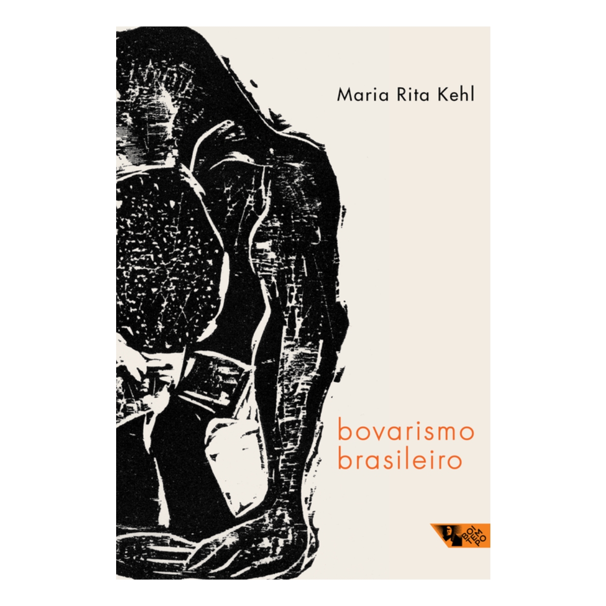 Livro - Bovarismo Brasileiro - Maria Rita Kehl (Usado) - Imagem 3