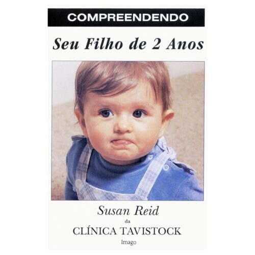 Livro - Compreendendo seu filho de 2 Anos - Susan Reid (Usado)