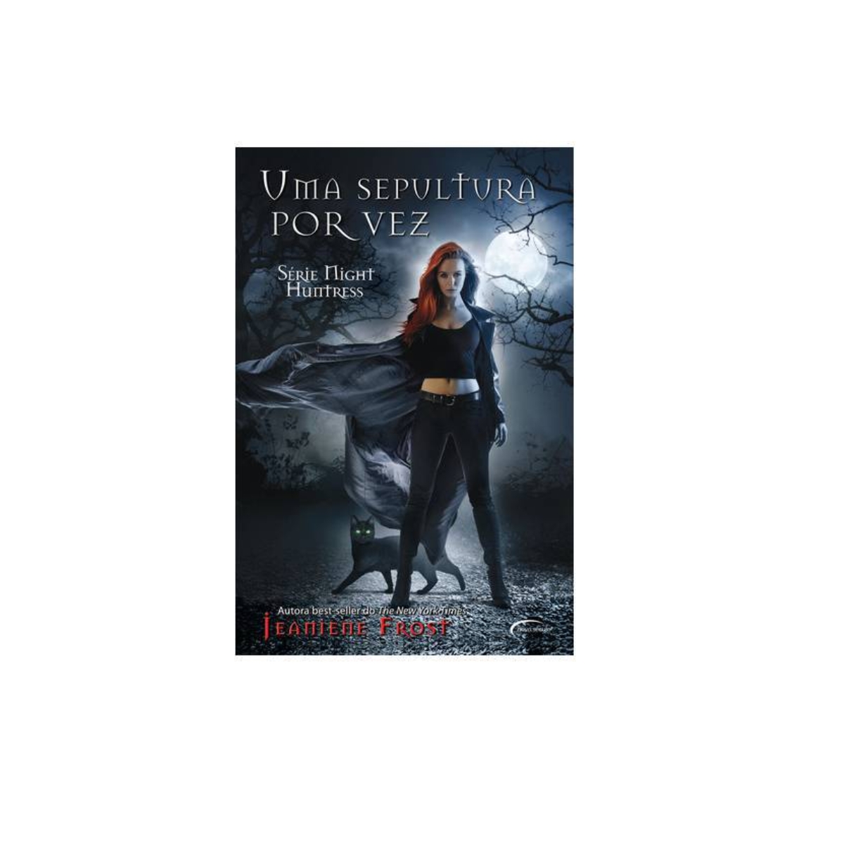 Livro - Uma Sepultura por vez - Night Huntress - Janiene Frost (Usado) - Imagem 3
