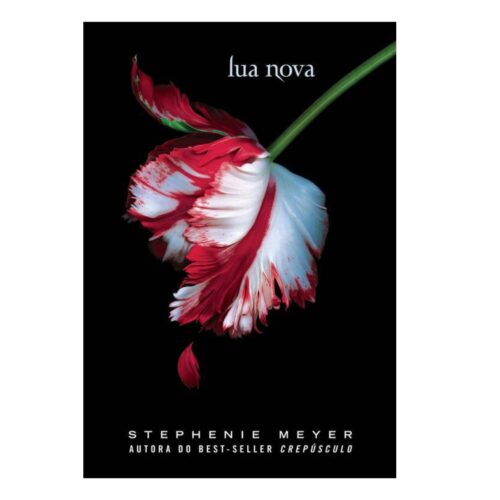 Livro - Lua Nova - Stephenie Meyer (Usado)