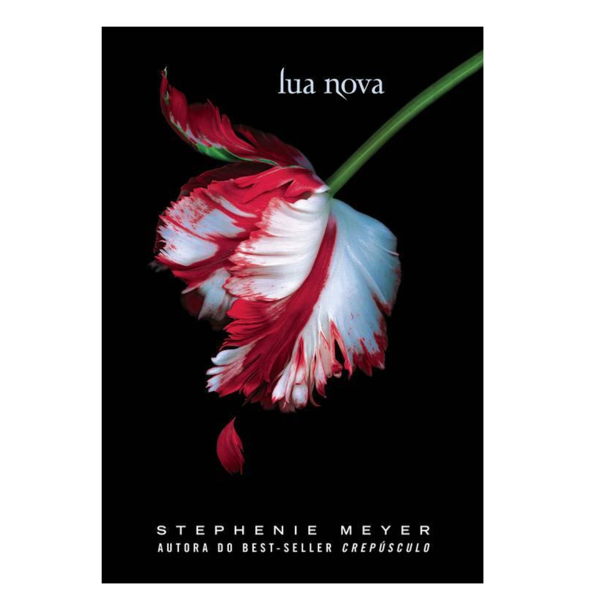 Livro - Lua Nova - Stephenie Meyer (Usado) - Imagem 2