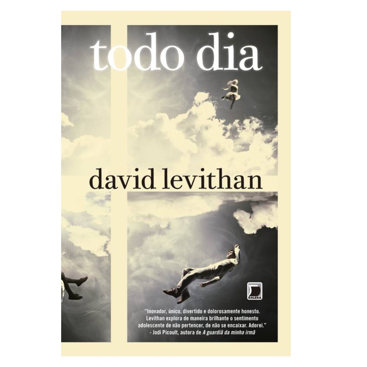 Livro - Todo dia - David Levithan (Usado) - Imagem 4
