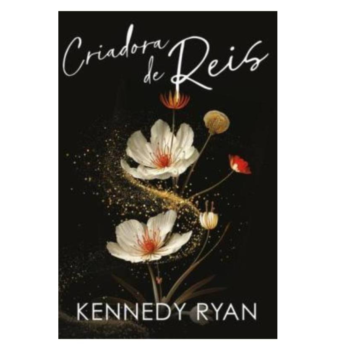 Livro - Criadora de Reis - Kennedy Ryan (Usado) - Imagem 2