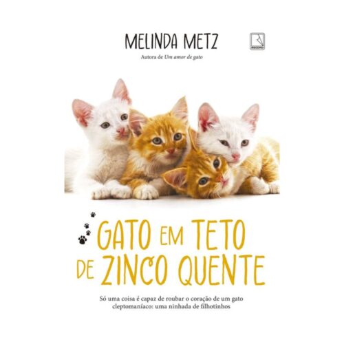 Livro - Gato em teto de zinco quente - Melinda Metz (Usado)