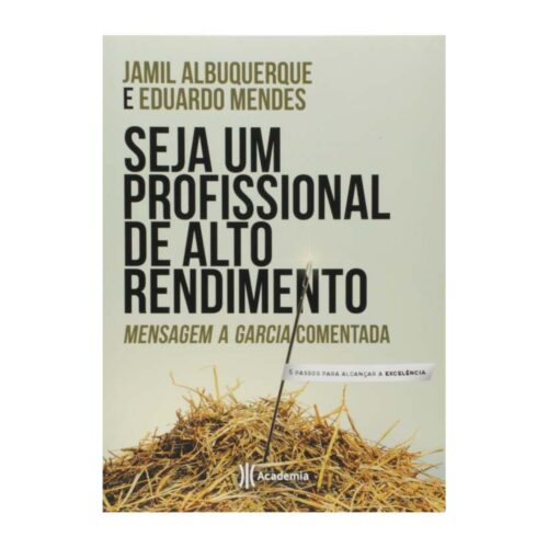 Livro - Seja um profissional de alto rendimento - Jamil Albuquerque (Usado)